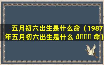 五月初六出生是什么命（1987年五月初六出生是什么 🐝 命）